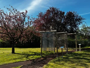 Link vergrößert das Bild:  ASB Pflege- und Betreuungszentrum "Weidenblick" in Gröditz
